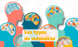 Maximiser l'enseignement par la compréhension des différents types de mémoire