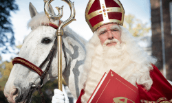 Beleef een coronaproof Sinterklaasfeest