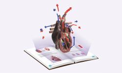 Nieuw in de leeroplossingen van Plantyn: 3D-beelden via augmented reality
